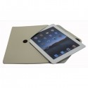 Apple iPad