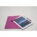 Apple iPad